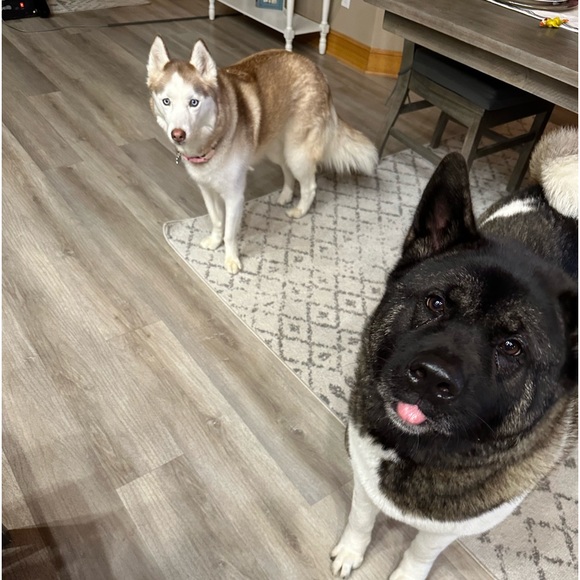 Co Hosting, join me! 😊🤩 ❤️🤩 - Picture 12 of 12